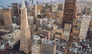 Café and Roastery Business